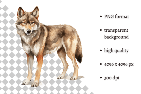 Download Watercolor Woodland Wolf PNG Clipart - Wolf png Collection